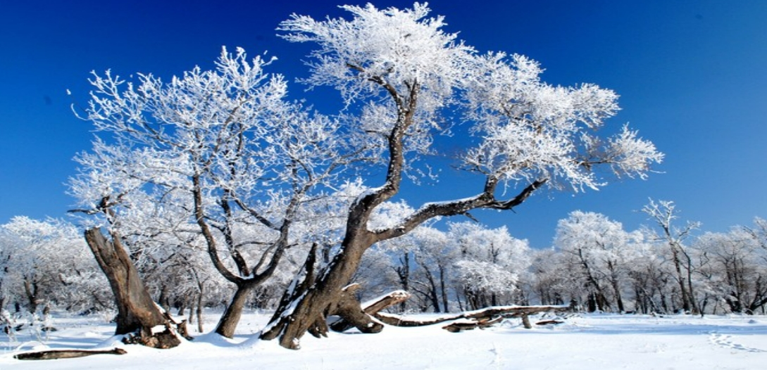 2024年12月22日吉林·辉南四方顶山地冰雪马拉松