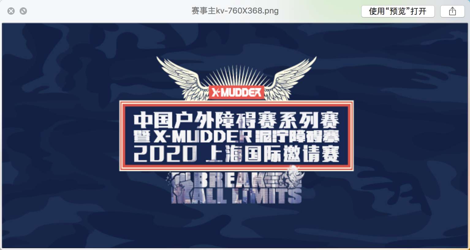 2020中国户外障碍赛系列赛 暨X-MUDDER泥泞障碍赛-上海国际邀请赛